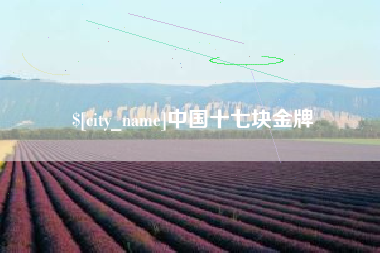 靖边中国十七块金牌