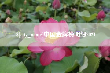 靖边中国金牌榜明细2021
