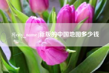 靖边新版的中国地图多少钱