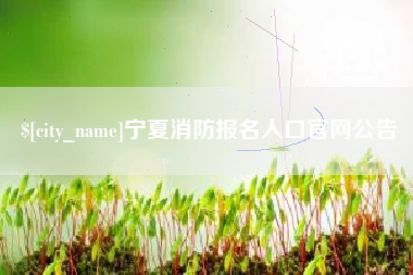 靖边宁夏消防报名入口官网公告