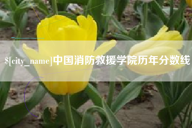 靖边中国消防救援学院历年分数线