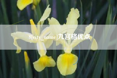 靖边九宫格优点
