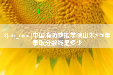 靖边中国消防救援学院山东2020年录取分数线是多少