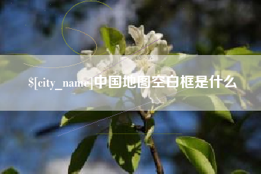 靖边中国地图空白框是什么