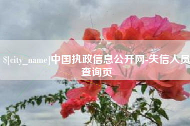 靖边中国执政信息公开网-失信人员查询页