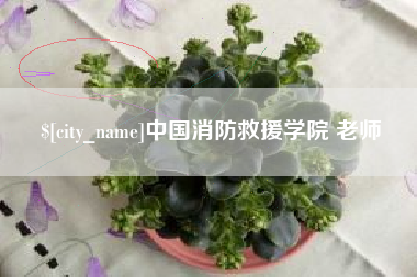 靖边中国消防救援学院 老师
