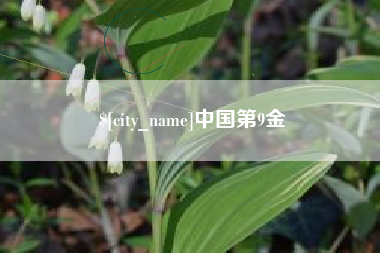 靖边中国第9金