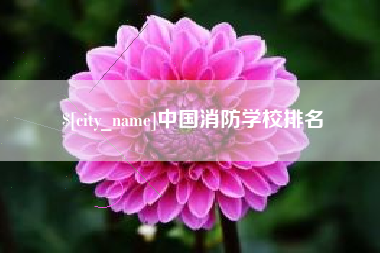 靖边中国消防学校排名
