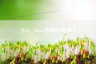 靖边中国几金牌了