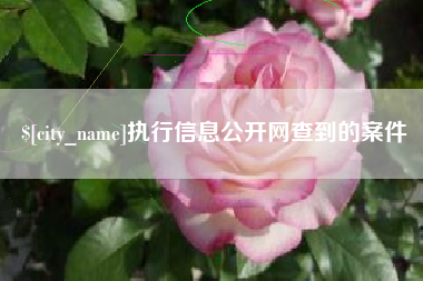 靖边执行信息公开网查到的案件