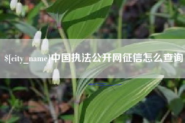 靖边中国执法公开网征信怎么查询