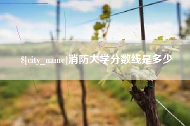 靖边消防大学分数线是多少