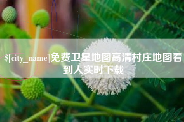 靖边免费卫星地图高清村庄地图看到人实时下载