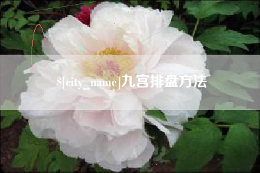 靖边九宫排盘方法