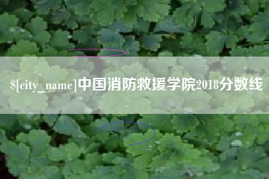 靖边中国消防救援学院2018分数线