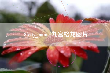 靖边九宫格龙图片