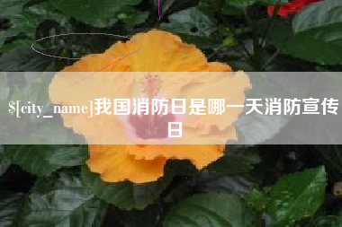 靖边我国消防日是哪一天消防宣传日
