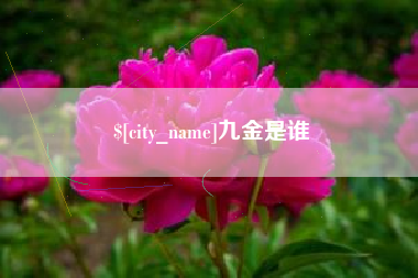 靖边九金是谁