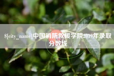 靖边中国消防救援学院2019年录取分数线
