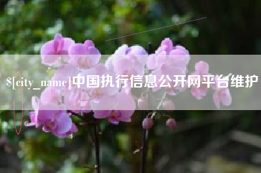 靖边中国执行信息公开网平台维护