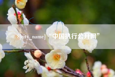 靖边“中国执行公开网”
