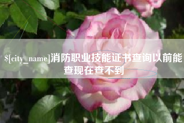 靖边消防职业技能证书查询以前能查现在查不到