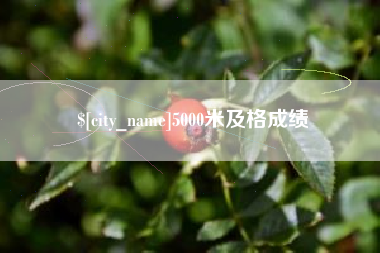 靖边5000米及格成绩