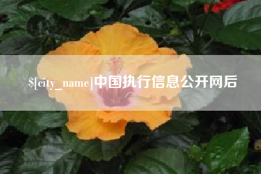 靖边中国执行信息公开网后