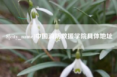靖边中国消防救援学院具体地址