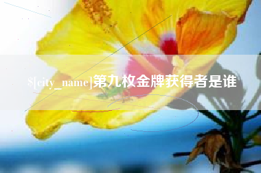 靖边第九枚金牌获得者是谁