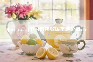 靖边中国消防救援学院分数2020