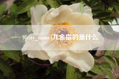 靖边九金指的是什么