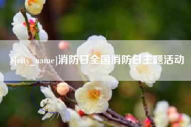 靖边消防日全国消防日主题活动
