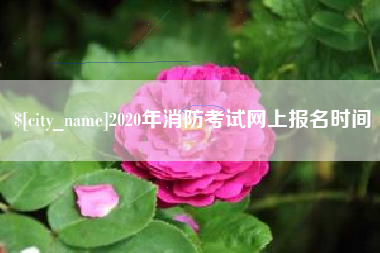 靖边2020年消防考试网上报名时间