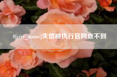 靖边失信被执行官网查不到
