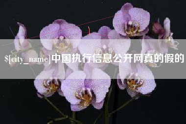 靖边中国执行信息公开网真的假的
