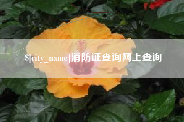 靖边消防证查询网上查询