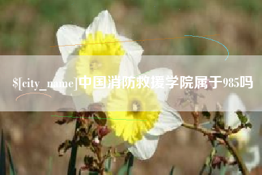 靖边中国消防救援学院属于985吗