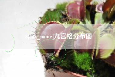 靖边九宫格分布图