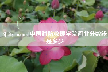 靖边中国消防救援学院河北分数线是多少