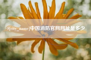 靖边中国消防官网网址是多少