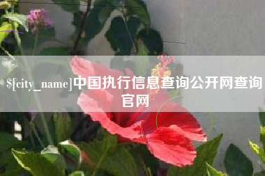 靖边中国执行信息查询公开网查询官网