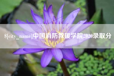 靖边中国消防救援学院2020录取分