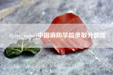 靖边中国消防学院录取分数线