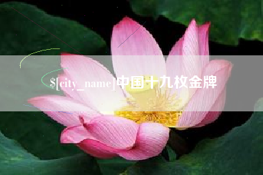 靖边中国十九枚金牌