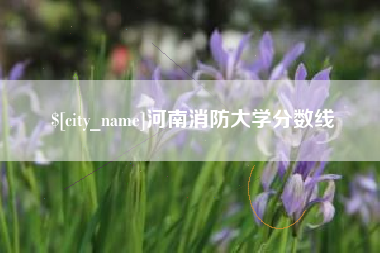 靖边河南消防大学分数线