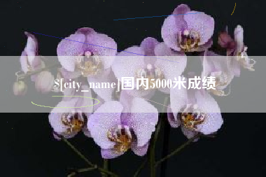 靖边国内5000米成绩
