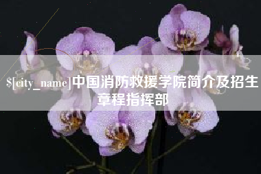靖边中国消防救援学院简介及招生章程指挥部
