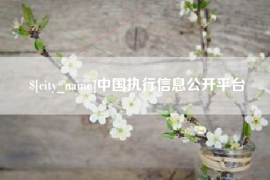 靖边中国执行信息公开平台
