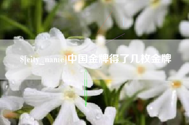 靖边中国金牌得了几枚金牌